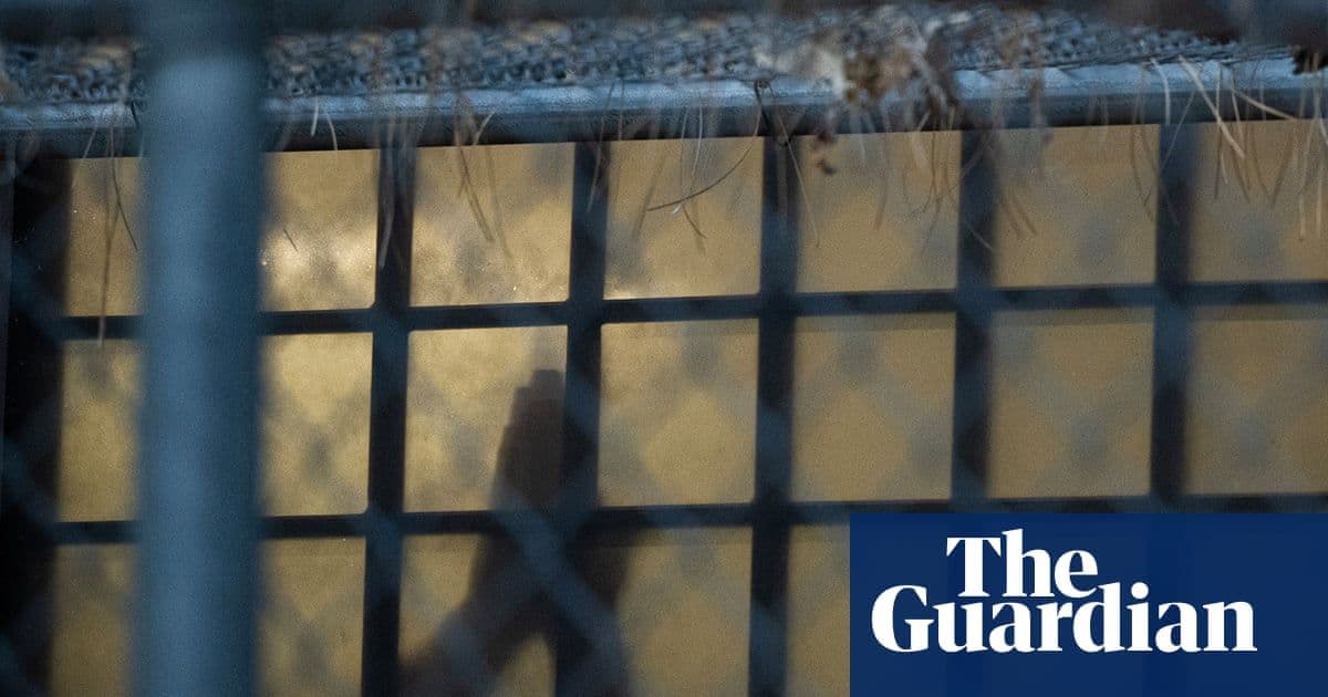 TB Outbreak at Colorado ICE Detention Center Leaves 12 Sick, Dozens in Quarantine