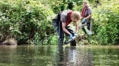 Groundbreaking Real-Time Monitoring System Launched to Safeguard England's Precious Chalk Stream