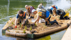 Floating Saltmarsh Initiative Set to Revive Degraded Coastal Ecosystems Across the UK