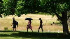 Week-Long Heat Alert Issued as New Heatwave Set to Peak at 34°C Across England
