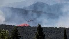 Thousands Flee as Wildfire Tears Through Southern France Amid Scorching Heatwave