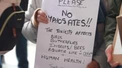 Cornwall Council Pledges to Hear Public Concerns Over Return of Controversial Weedkiller
