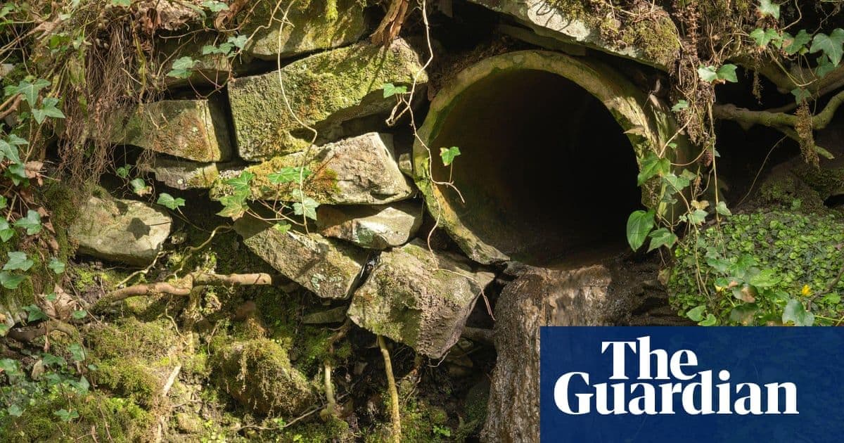 Welsh Water Faces £44.7M Penalty Over Severe Sewage Network Failures