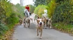 UK Government Launches Public Consultation on Trail Hunting Ban