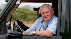 How Sir David Attenborough Turned Bristol Into the Wildlife Film Capital of the World