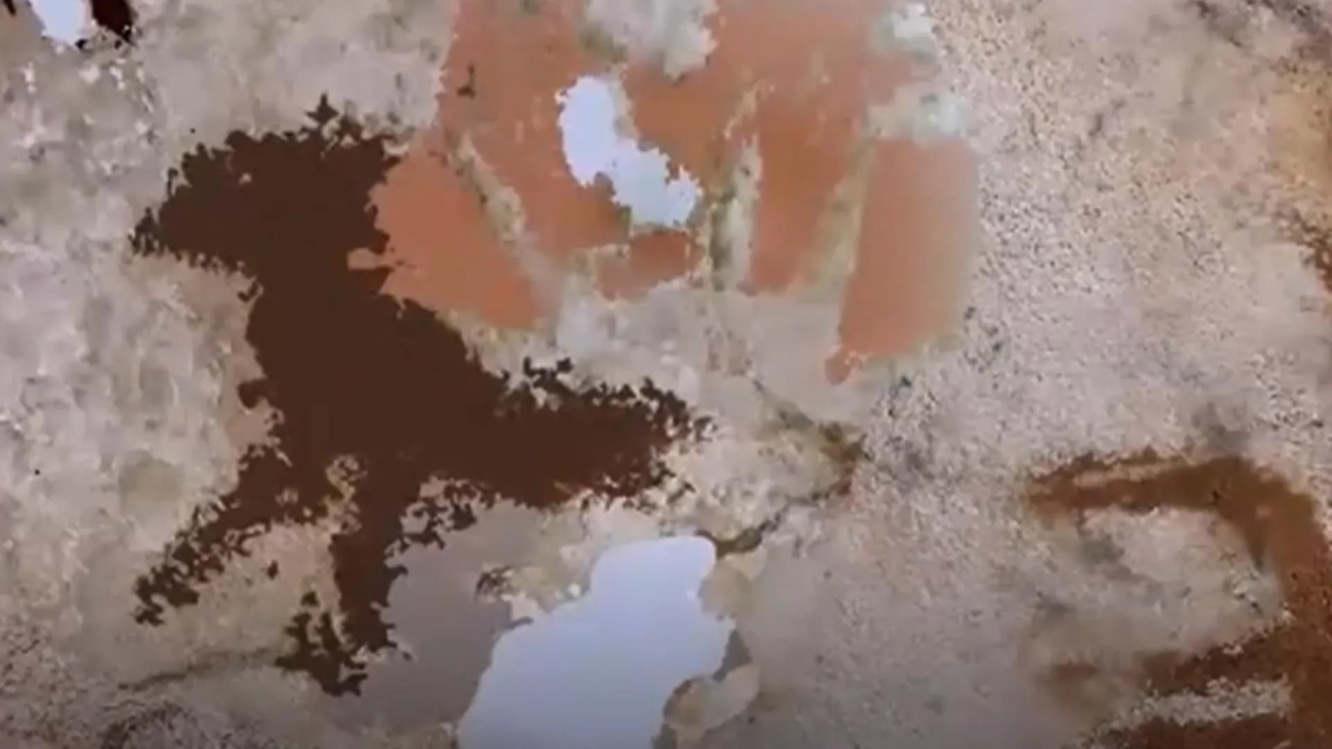 World's Oldest Cave Art Discovered: A 67,800-Year-Old Hand Stencil in Indonesia