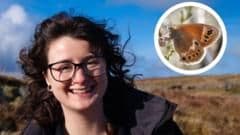 Tracking Endangered Butterflies to Measure the Pulse of Wales' Precious Peat Bogs