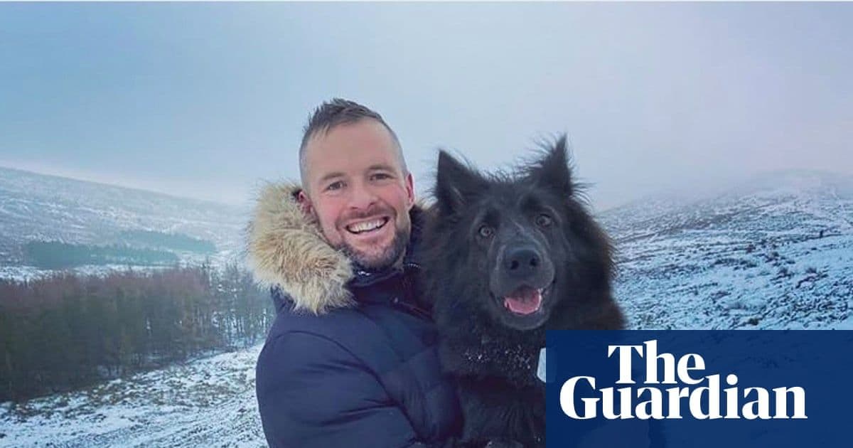 Nya the Therapy Dog: The German Shepherd Bringing Comfort and Joy to Train Travelers