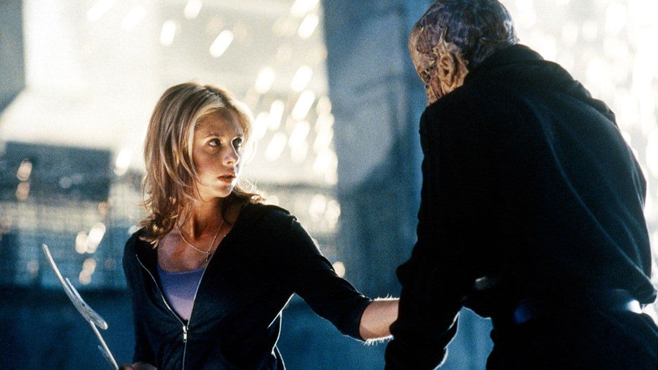 Buffy the Vampire Slayer Cast: Where Are They Now?