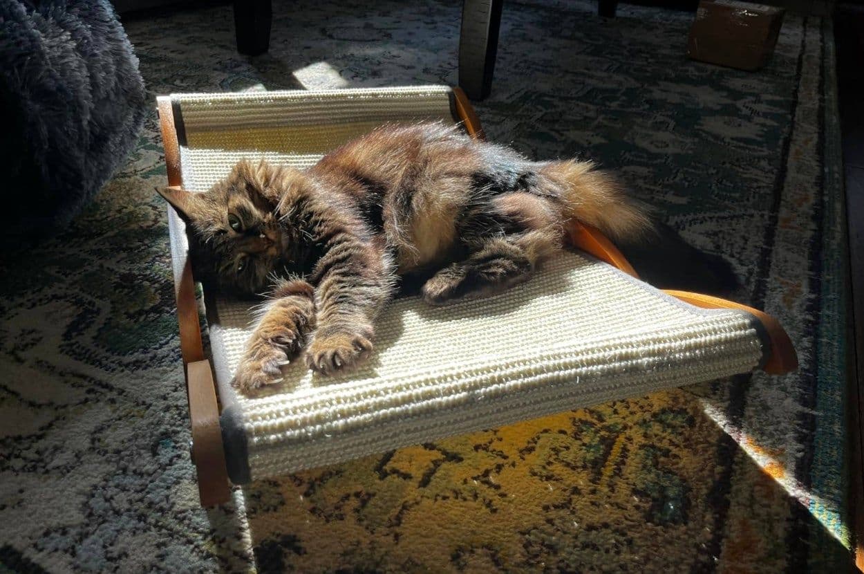 29 Ridiculously Cute Products You Never Knew You Needed