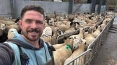 Unlimited Fines and Dog Seizures: New Laws Now Protect Farm Animals From Dog Attacks