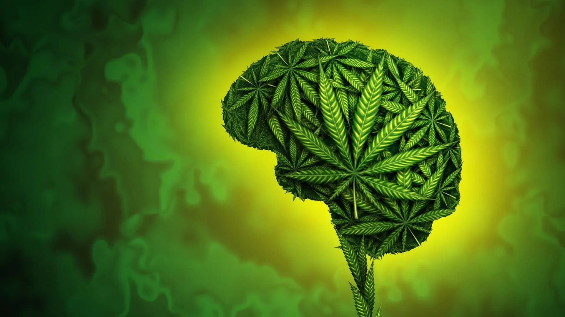 Landmark Study Reveals Medicinal Cannabis Falls Short for Anxiety, Depression, and PTSD