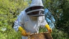 How Beekeeping Is Helping Young People Beat Anxiety and Reconnect With Nature