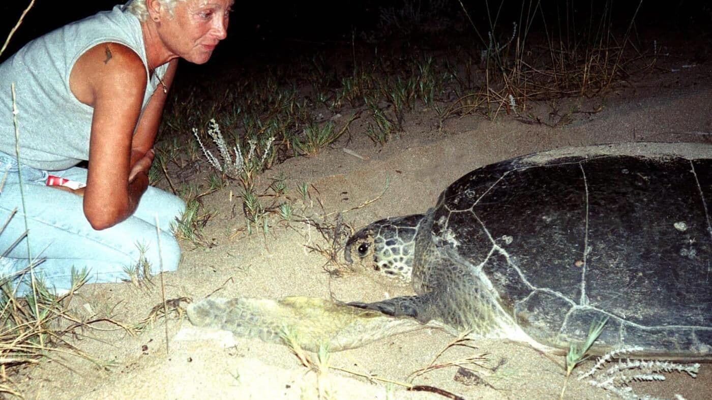 Mona Khalil: The Lebanese Conservation Pioneer Killed by an Airstrike on Her Coastal Home