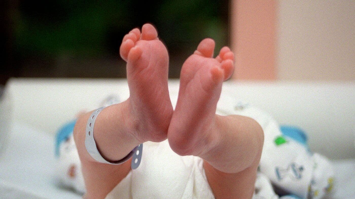 Large Study Confirms: COVID Vaccination During Pregnancy Shields Newborns From Infection