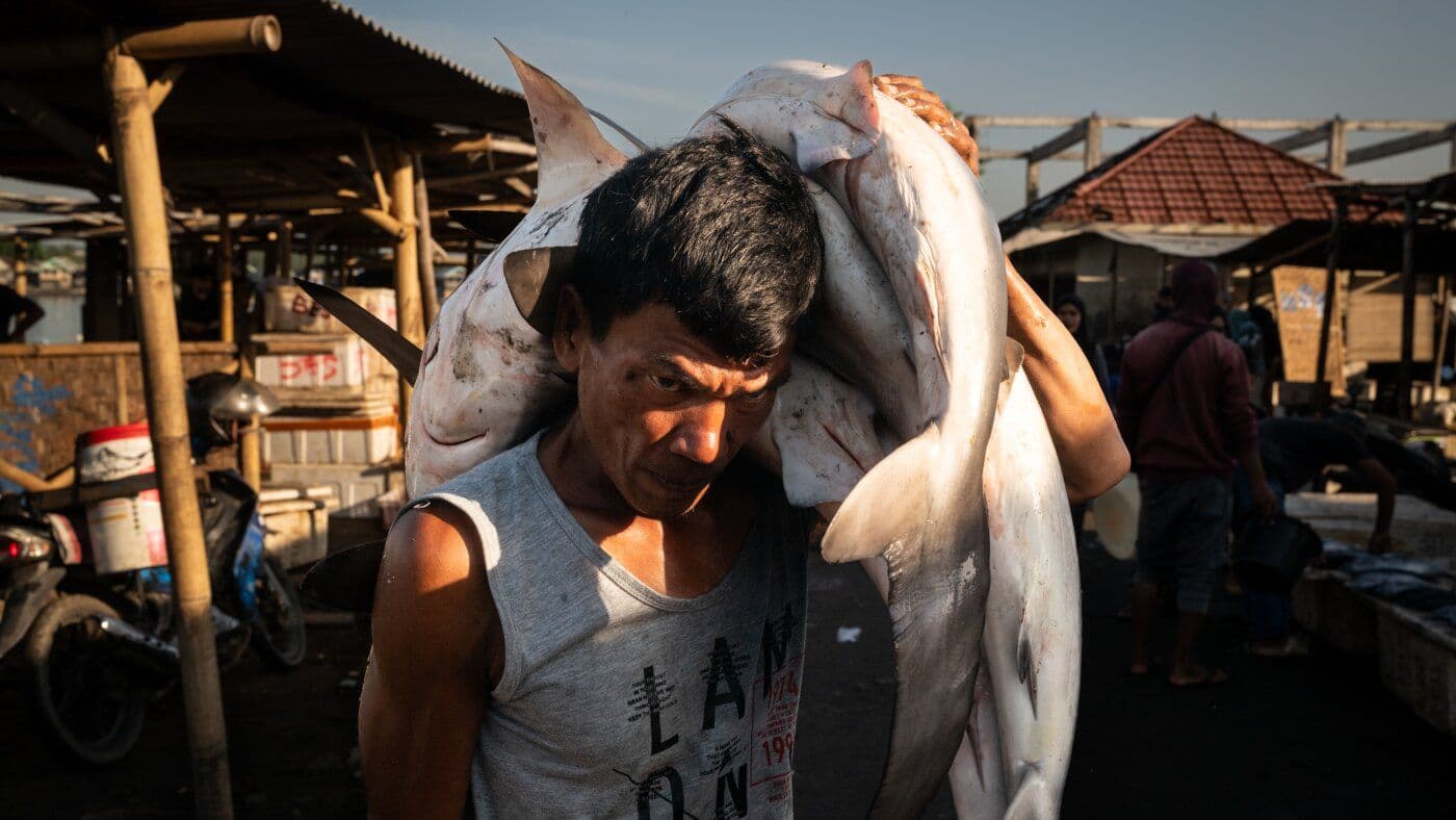 Southeast Asia's Overfishing Crisis: How Depleted Seas Are Devastating Ecosystems and Coastal Communities