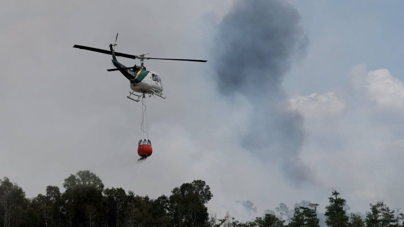 U.S. Wildland Fire Service Gears Up for a Potentially Devastating Fire Season