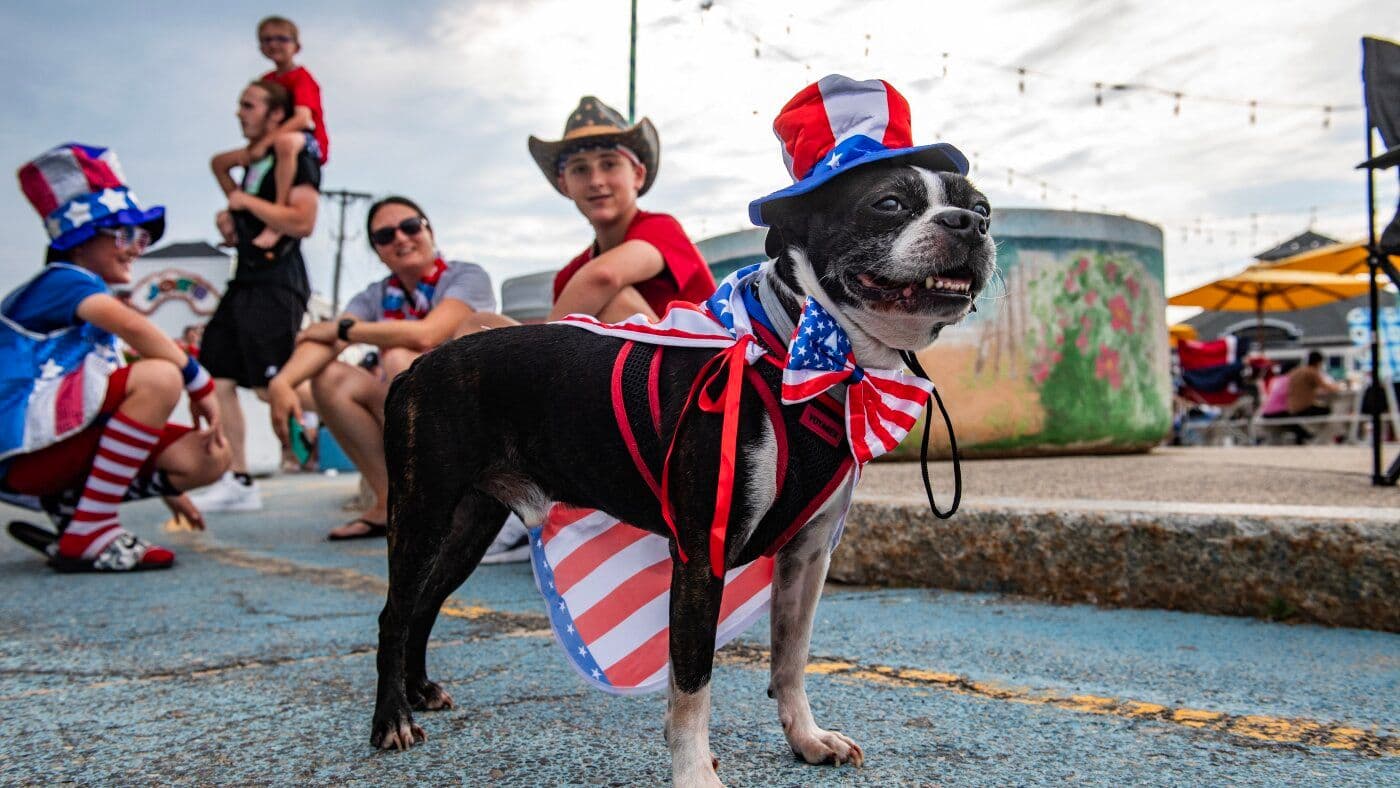 How to Keep Your Pets Safe and Calm During Fireworks Season