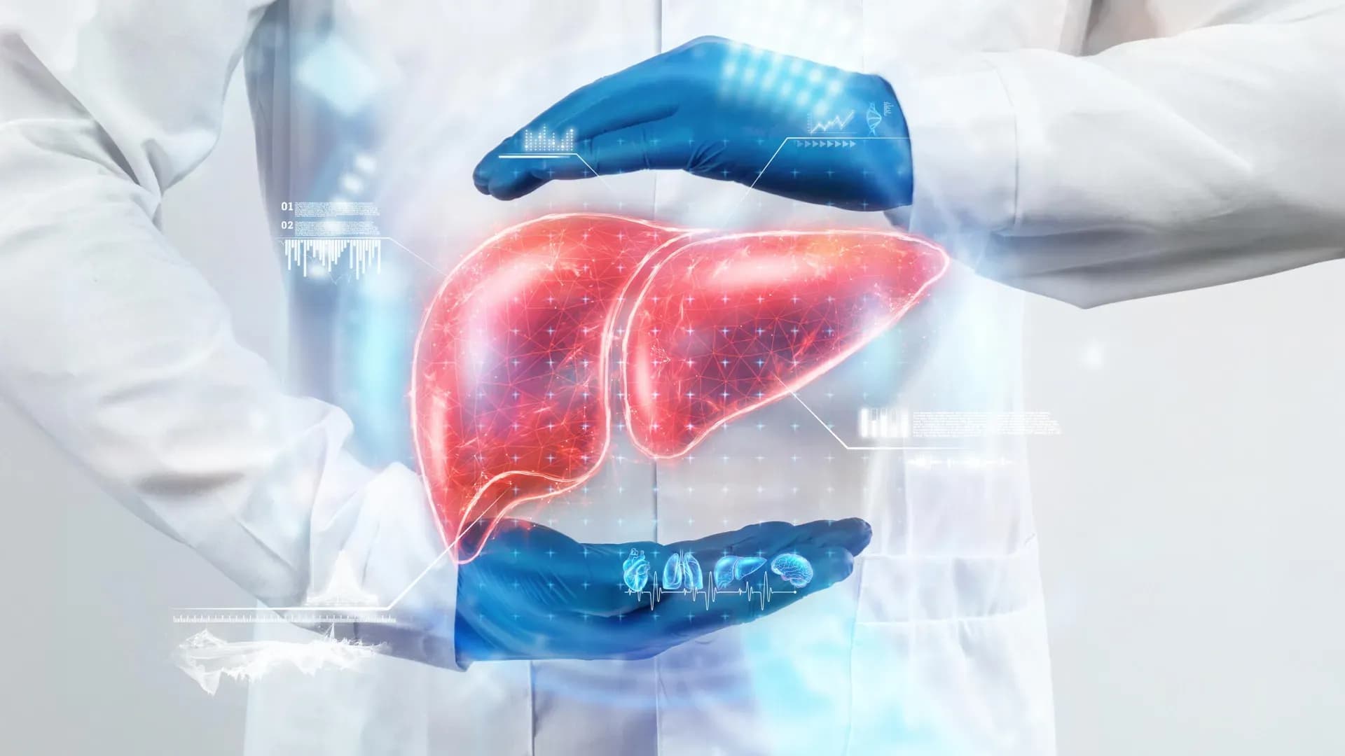 Could Your Gut Hold the Secret to Reversing Liver Aging?