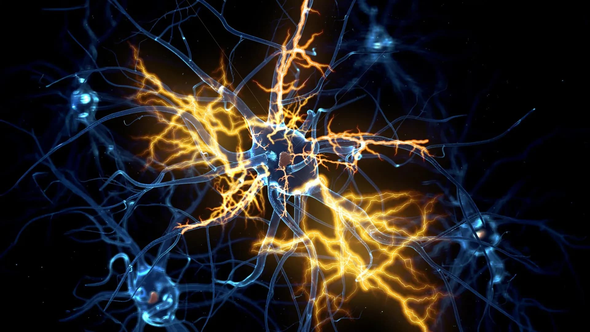 Lab-Grown Brain Models Unlock Potential Cure for Permanent Nerve Damage