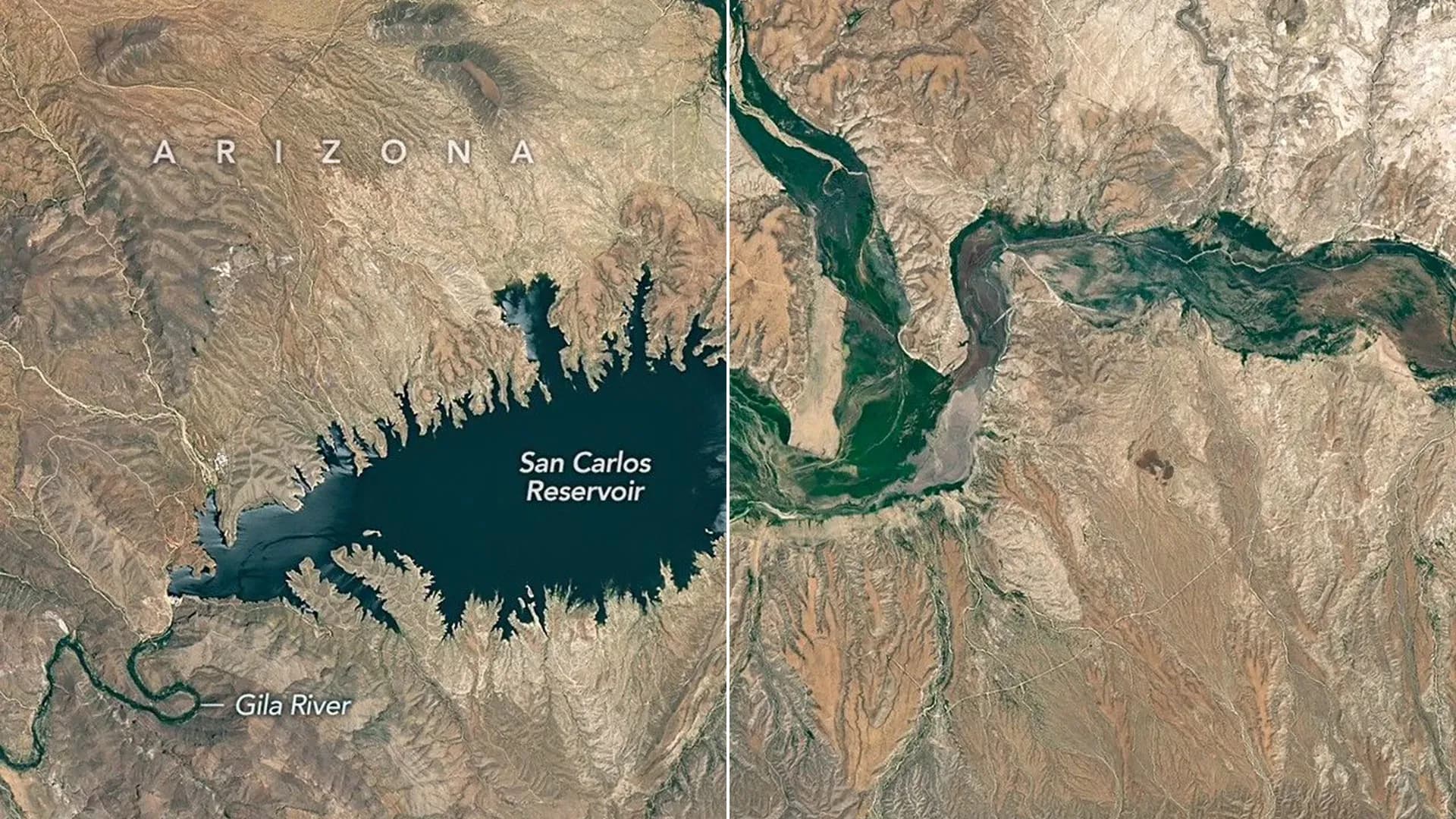 Arizona's San Carlos Reservoir Drops Below 1% Capacity as Snowpack Failure Sparks Devastating Fish Kill