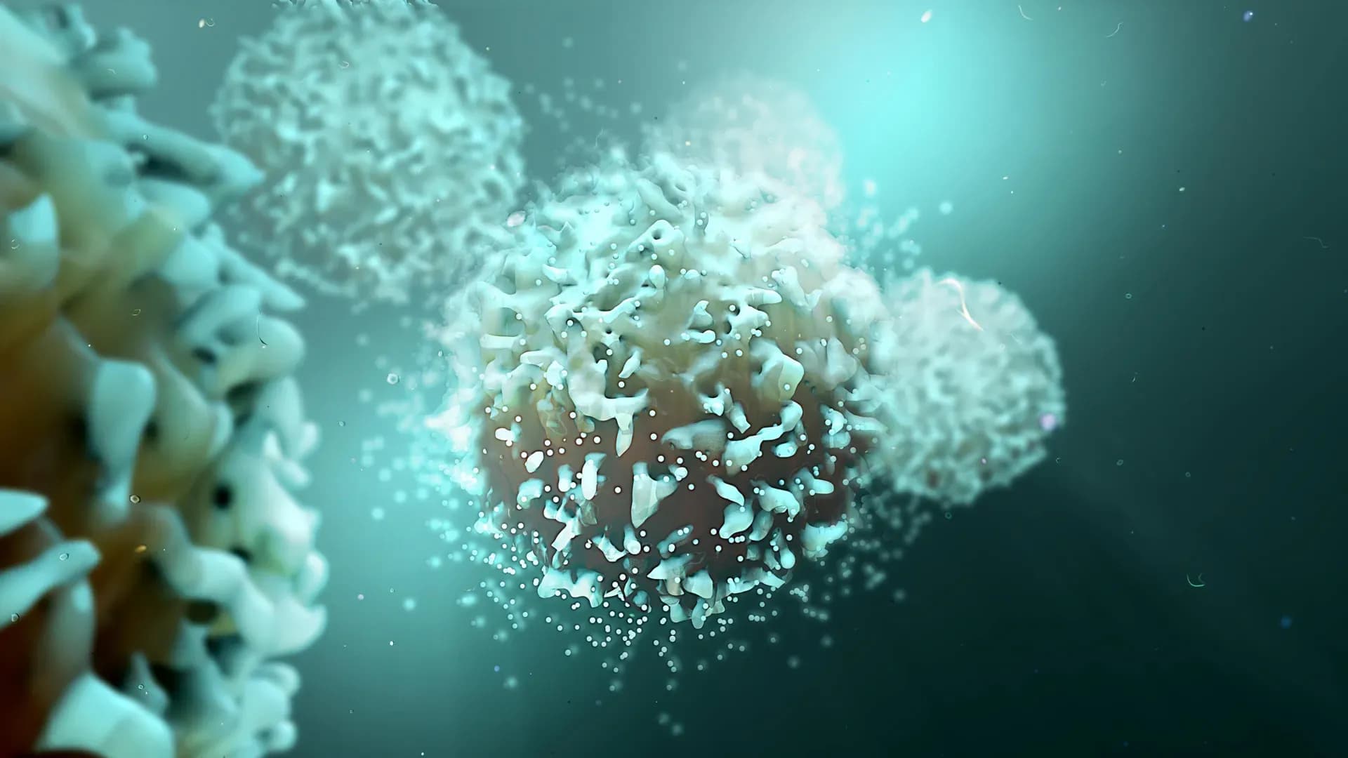 How Blocking One Protein Could Transform the Way We Fight Cancer