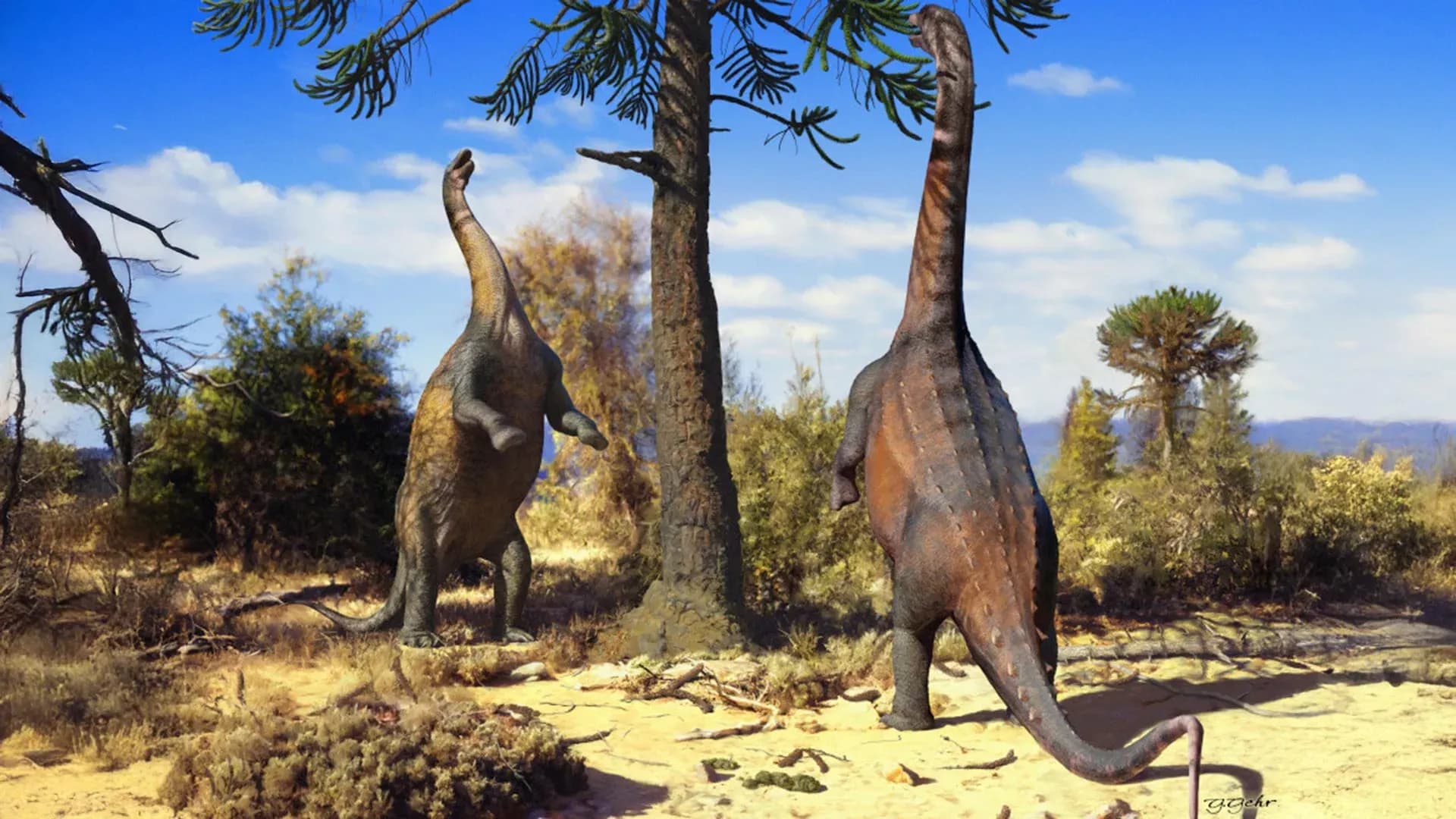 How Young Dinosaurs Could Stand Tall — And Why Size Eventually Stopped Them