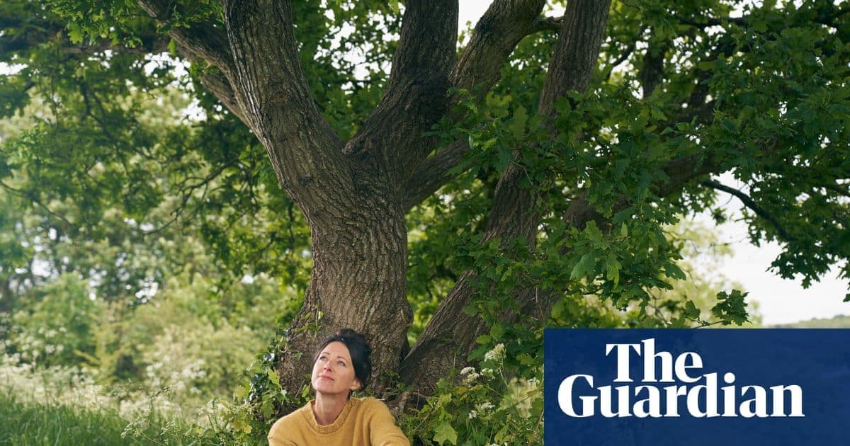 What Happened When One Woman Meditated Under the Same Oak Tree Every Single Day for a Year