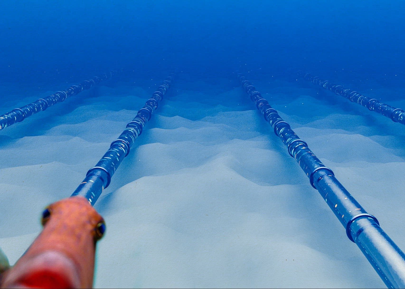 Why Undersea Cables Are the Achilles' Heel of the Gulf's AI Ambitions