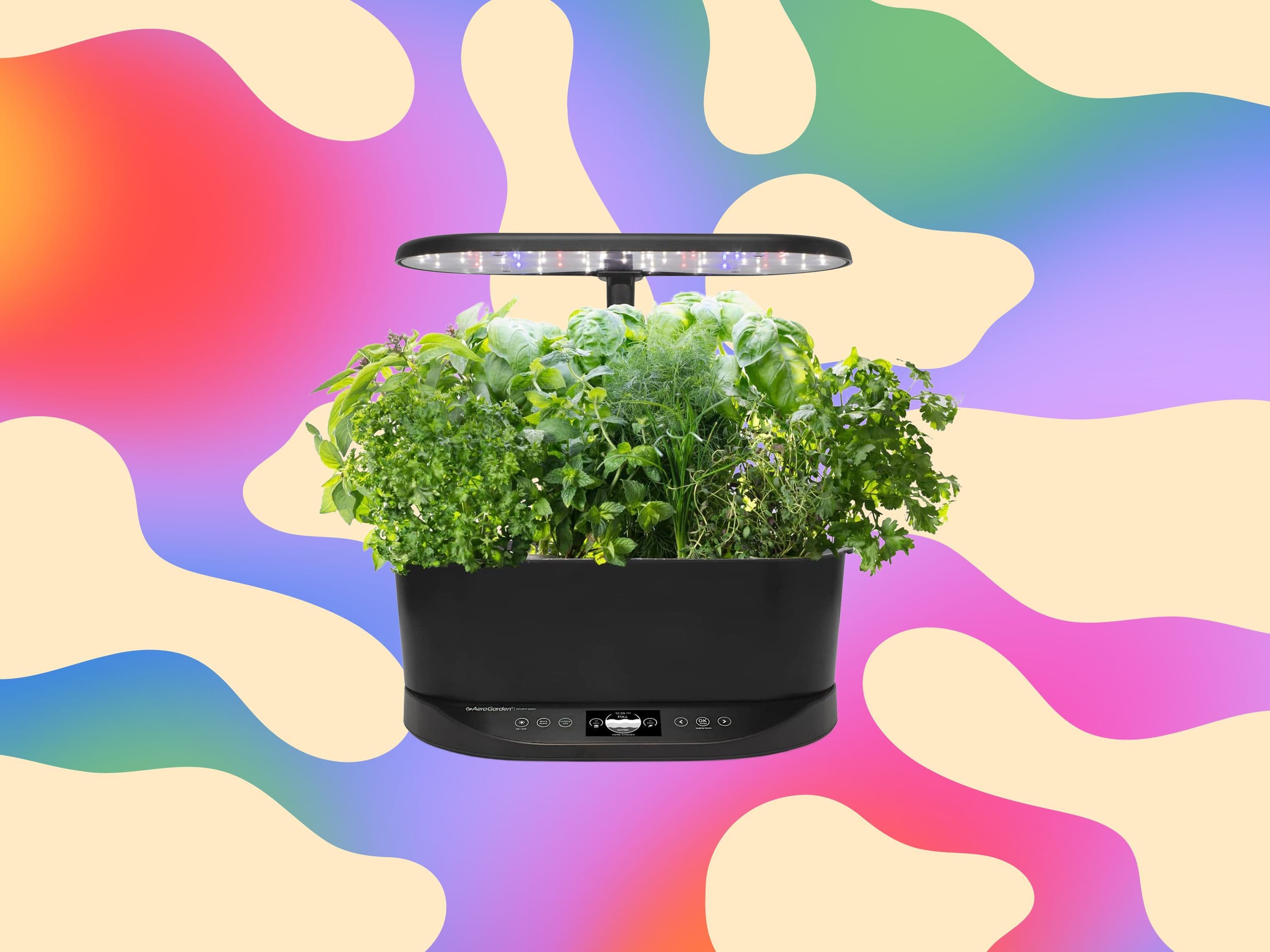 The Best Beginner Hydroponic Garden Is 63% Off — Here's Why It's Worth Every Penny