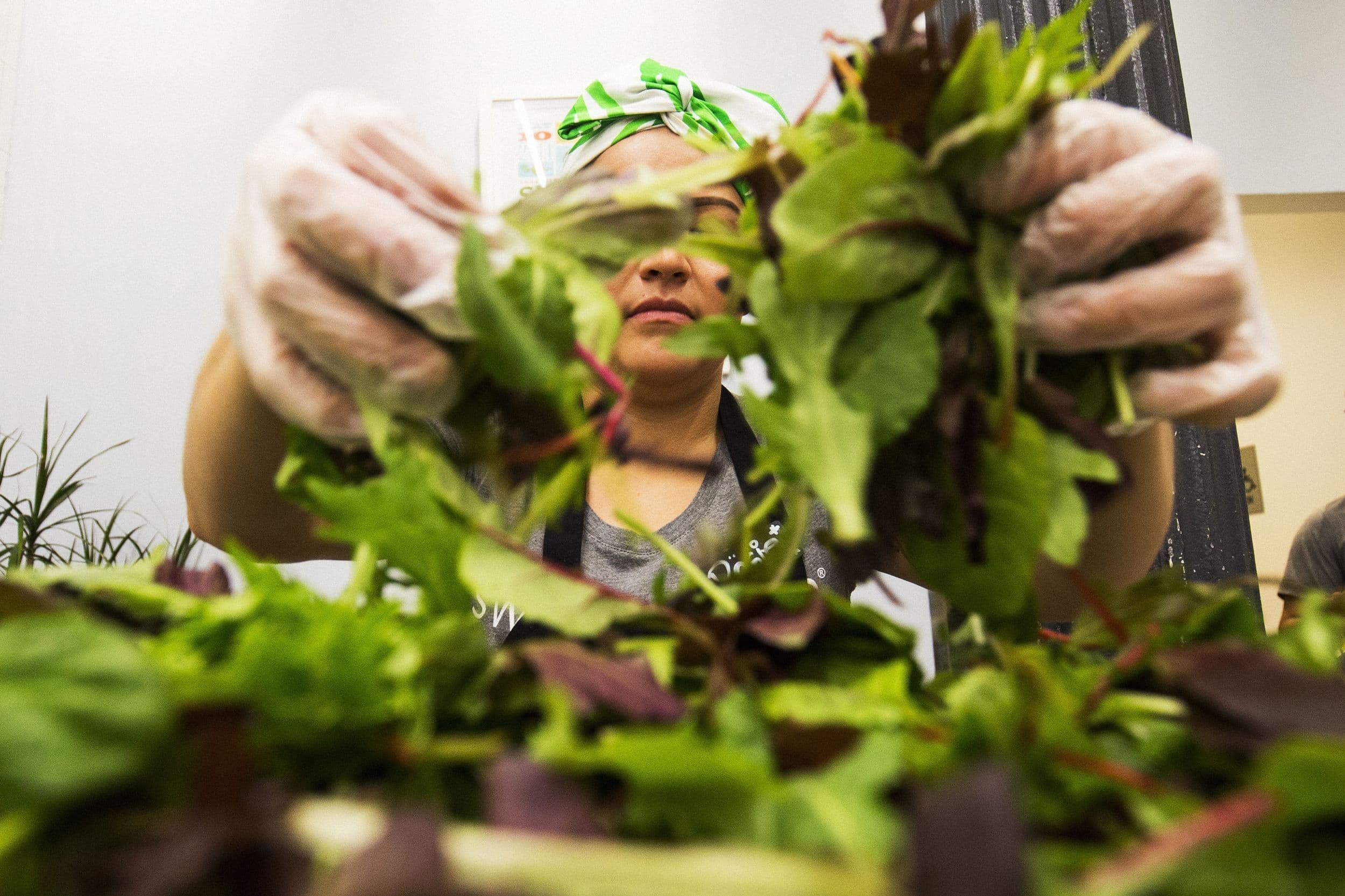 Cyclospora Outbreak Drives Customers Away From Salad Chains as Foot Traffic and Stocks Plunge