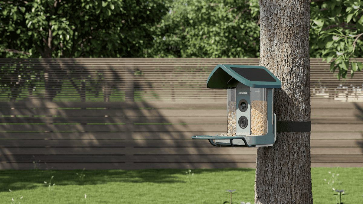 This AI-Powered Bird Feeder Turned My Backyard Into a Wildlife Discovery Zone