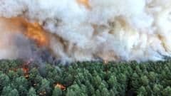 Suspected Arson Behind Massive Wildfire Tearing Through Forest South of Paris