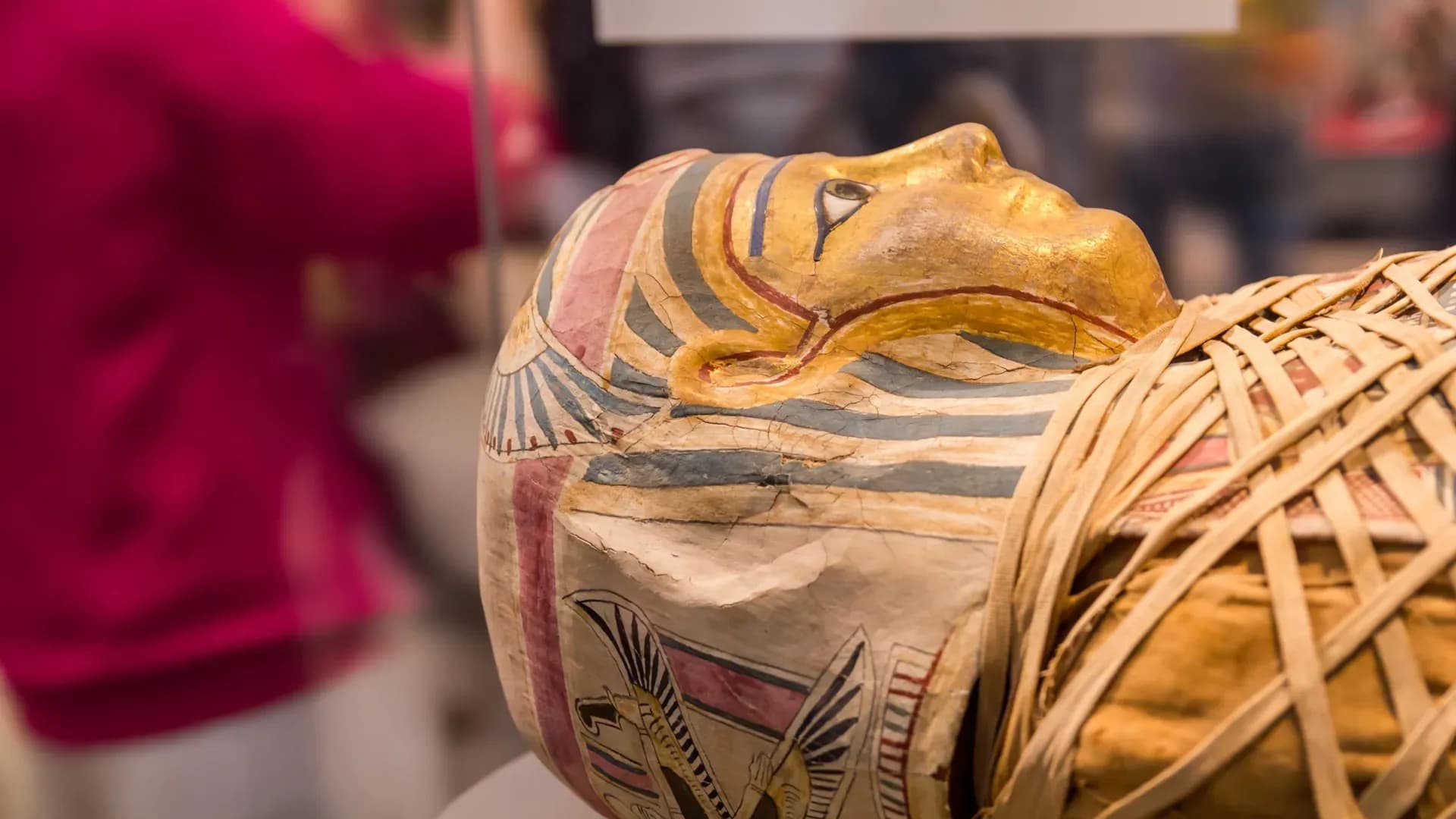 Homer's Iliad Fragment Discovered Inside a 1,600-Year-Old Egyptian Mummy