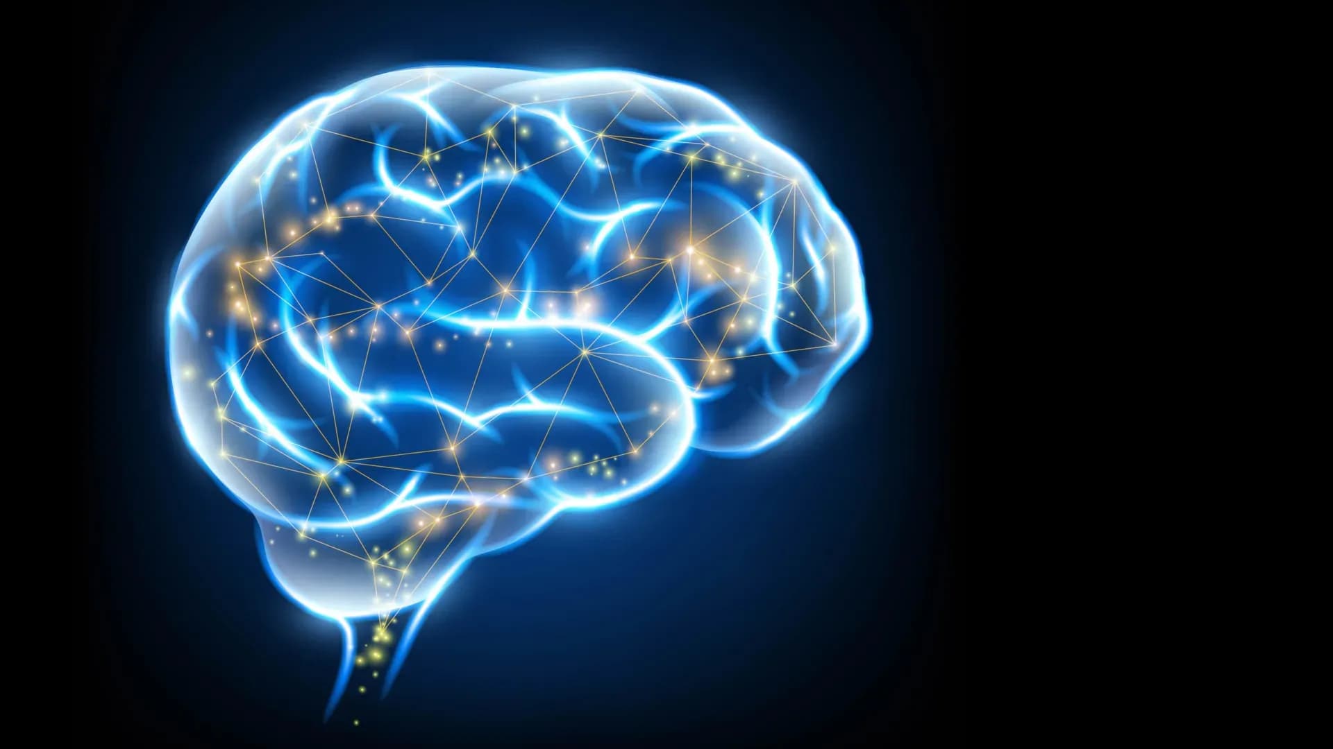 Japanese Scientists Engineer Supercharged Vitamin K Compounds That Prompt the Brain to Rebuild Itself