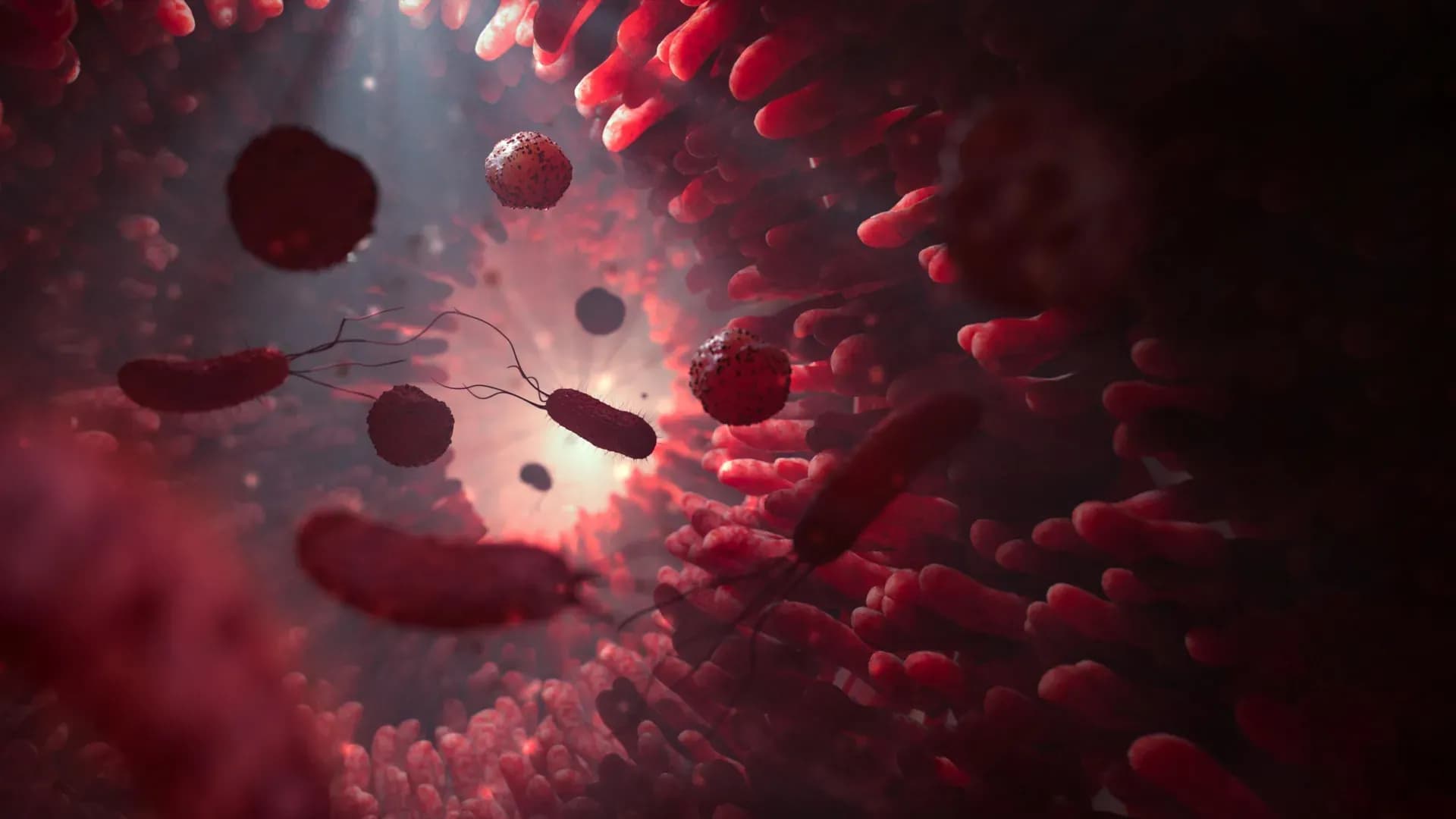 Gut Bacteria Can Inject Proteins Into Human Cells — And It's Changing Everything We Know About Immunity