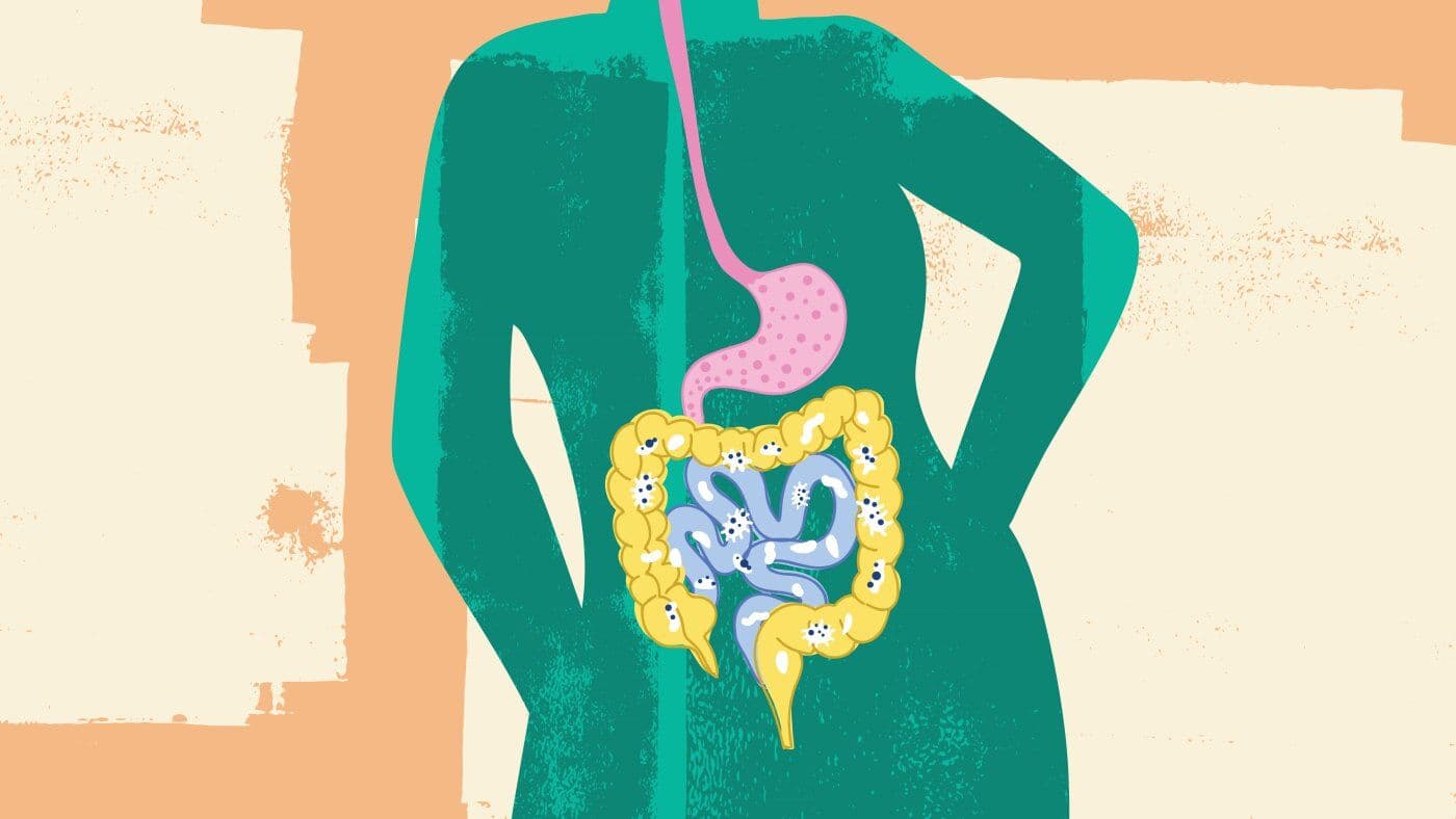 Your Gut Microbiome: 8 Essential Facts for Better Health