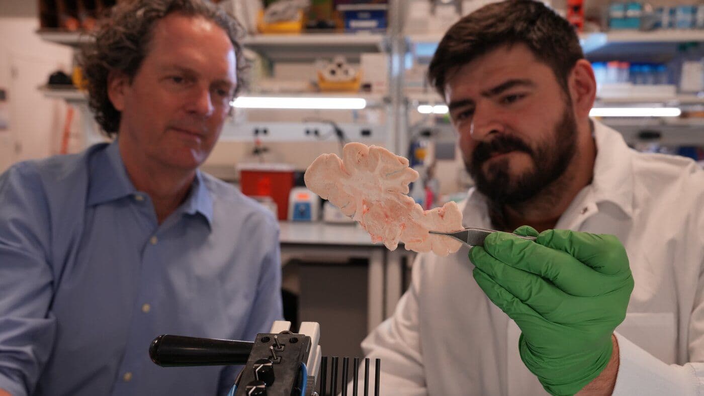 Brain Science Has Reached a Turning Point — And Healing May Finally Be Within Reach