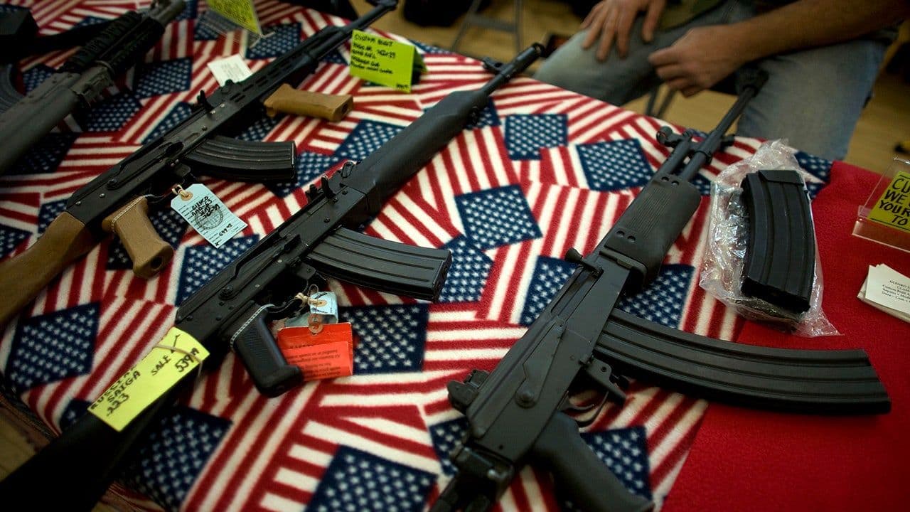 Second Amendment Expert Claims Minnesota Democrats Blocked Her Testimony to Dodge Policy Debate