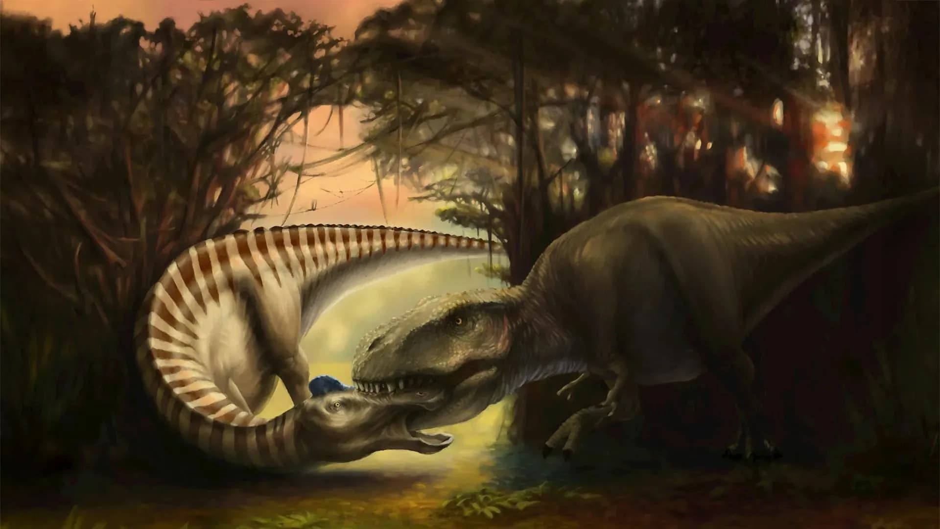 Frozen in Time: How a Tyrannosaurus Tooth Lodged in a Dinosaur's Skull Reveals a 66-Million-Year-Old Attack